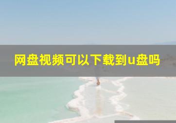 网盘视频可以下载到u盘吗