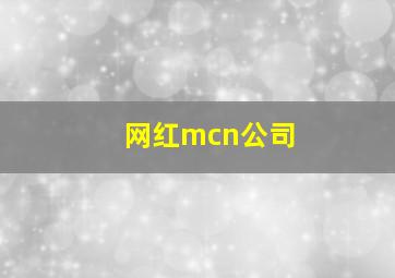 网红mcn公司