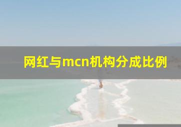 网红与mcn机构分成比例