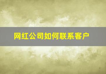 网红公司如何联系客户