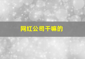 网红公司干嘛的