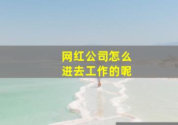 网红公司怎么进去工作的呢