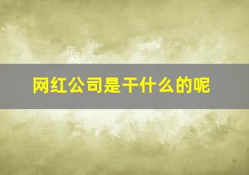 网红公司是干什么的呢