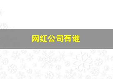 网红公司有谁