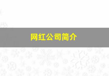 网红公司简介