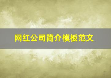 网红公司简介模板范文