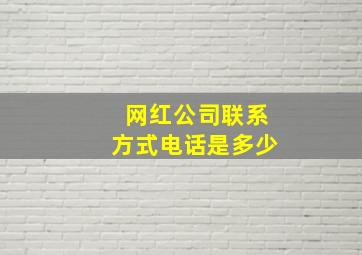 网红公司联系方式电话是多少