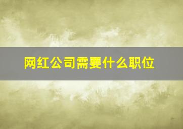 网红公司需要什么职位