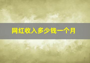 网红收入多少钱一个月