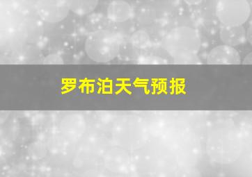 罗布泊天气预报