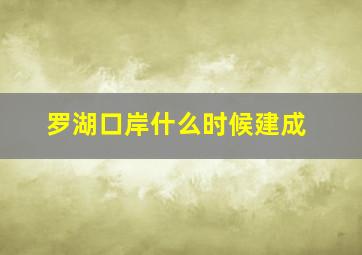 罗湖口岸什么时候建成