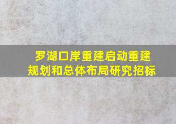 罗湖口岸重建启动重建规划和总体布局研究招标