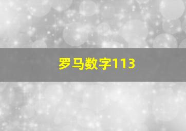 罗马数字113