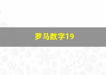 罗马数字19