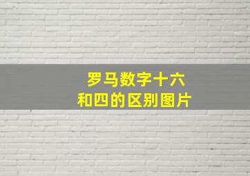 罗马数字十六和四的区别图片