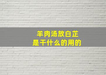 羊肉汤放白芷是干什么的用的