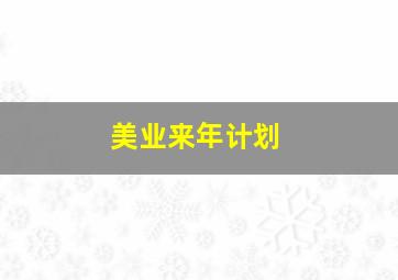 美业来年计划