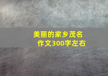 美丽的家乡茂名作文300字左右