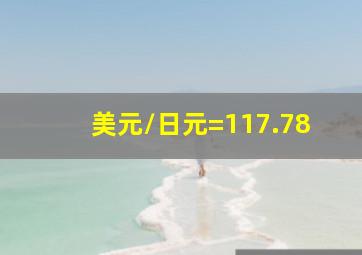 美元/日元=117.78