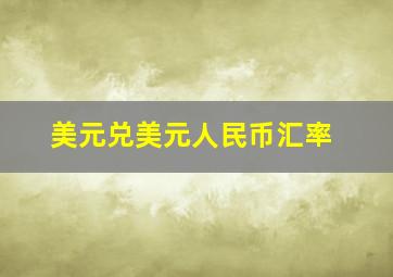 美元兑美元人民币汇率