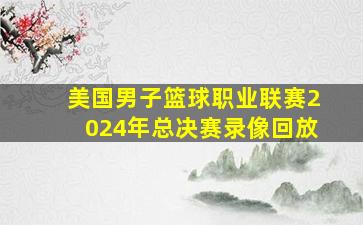 美国男子篮球职业联赛2024年总决赛录像回放