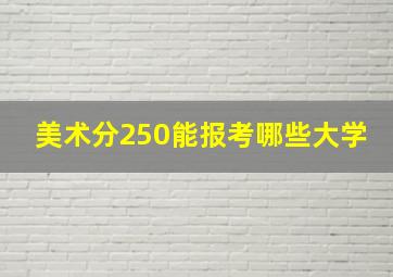 美术分250能报考哪些大学