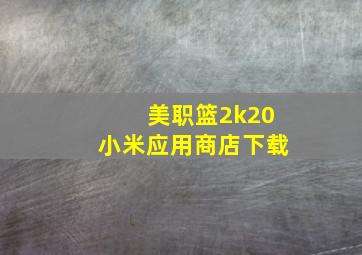 美职篮2k20小米应用商店下载