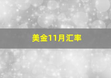 美金11月汇率