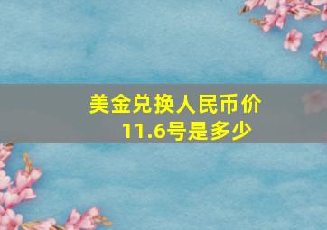 美金兑换人民币价11.6号是多少