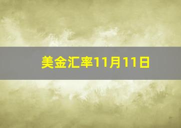 美金汇率11月11日