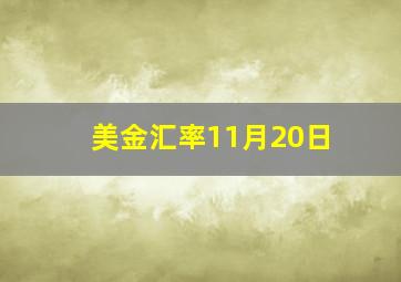 美金汇率11月20日