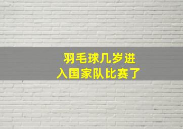 羽毛球几岁进入国家队比赛了