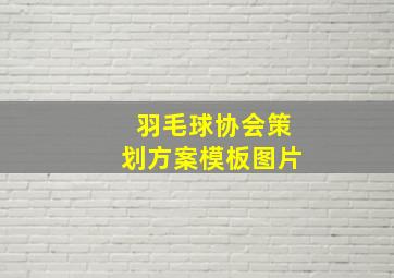 羽毛球协会策划方案模板图片