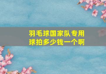 羽毛球国家队专用球拍多少钱一个啊