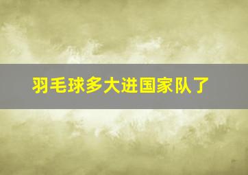 羽毛球多大进国家队了