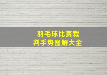 羽毛球比赛裁判手势图解大全