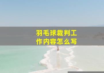 羽毛球裁判工作内容怎么写