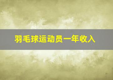 羽毛球运动员一年收入