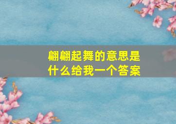 翩翩起舞的意思是什么给我一个答案