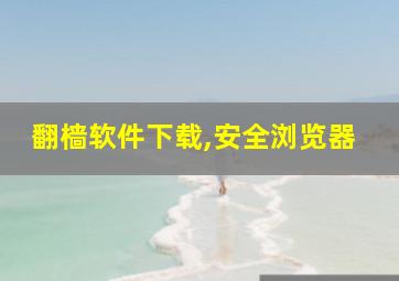 翻樯软件下载,安全浏览器