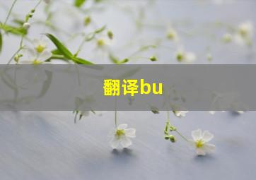 翻译bu