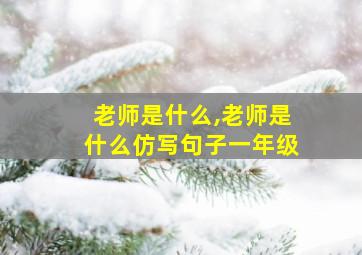 老师是什么,老师是什么仿写句子一年级