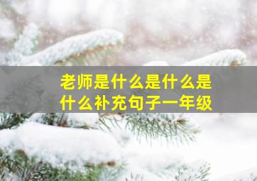 老师是什么是什么是什么补充句子一年级