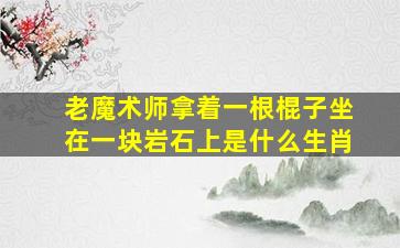 老魔术师拿着一根棍子坐在一块岩石上是什么生肖