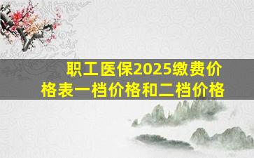 职工医保2025缴费价格表一档价格和二档价格