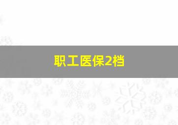 职工医保2档