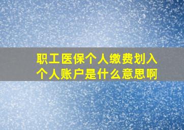 职工医保个人缴费划入个人账户是什么意思啊