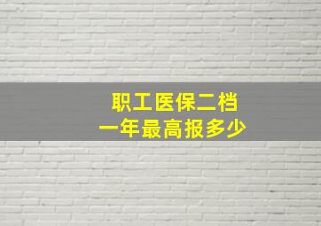 职工医保二档一年最高报多少