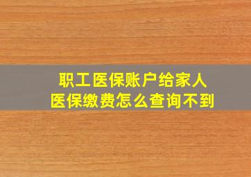 职工医保账户给家人医保缴费怎么查询不到