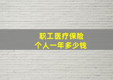 职工医疗保险个人一年多少钱